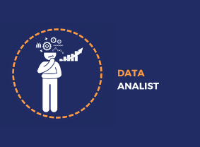 Data Analist
