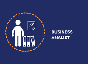 Business Analist